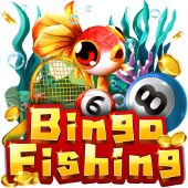 Câu Cá Bingo RR888